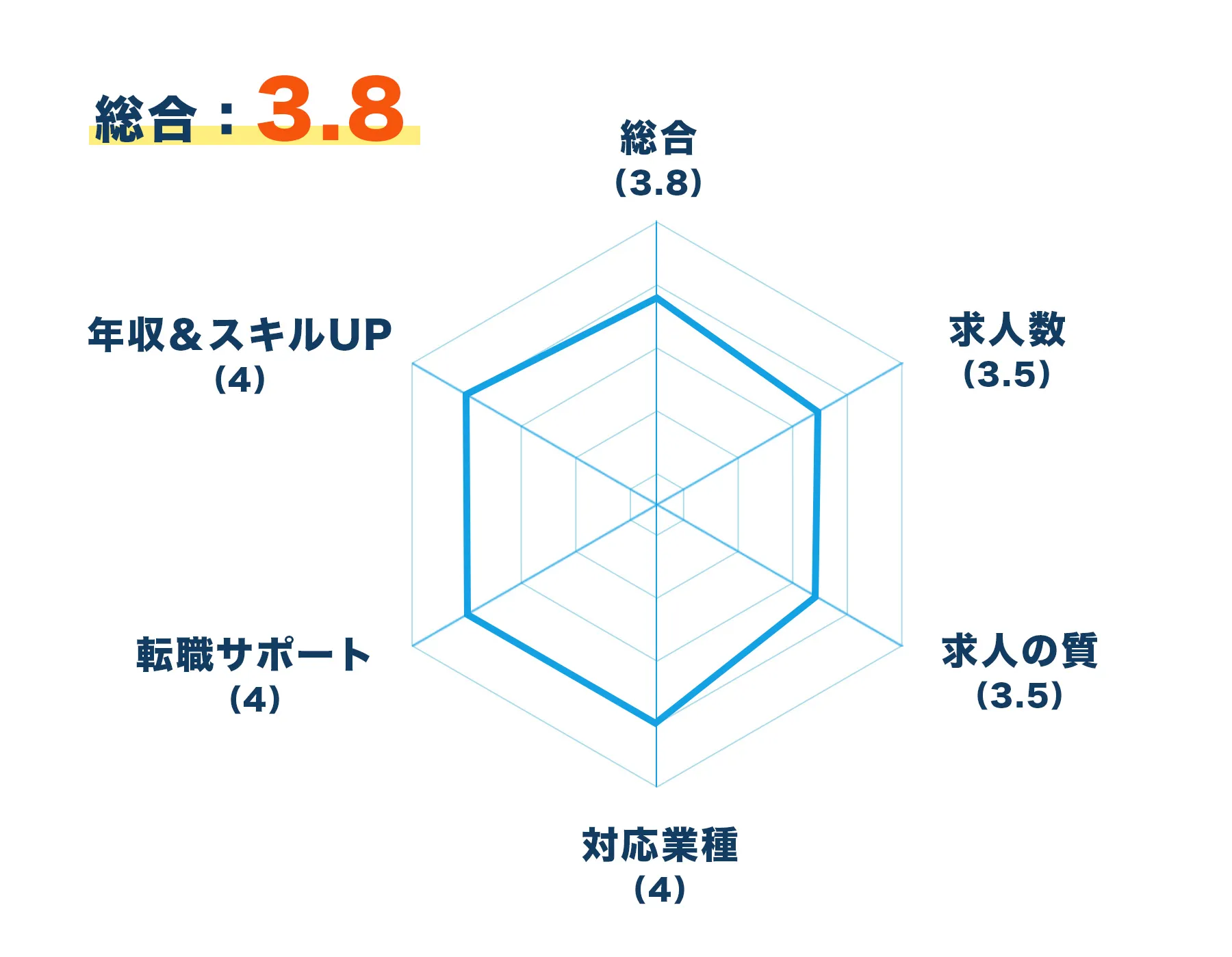 レーダーチャート
